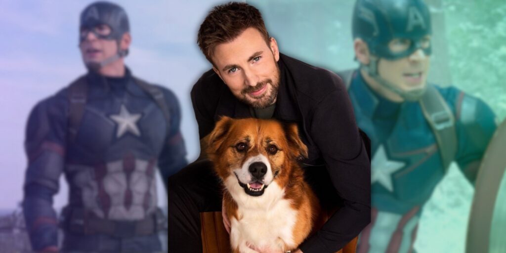 Chris Evans and His Dog What a Calm, Happy Pet Routine Really Looks Like