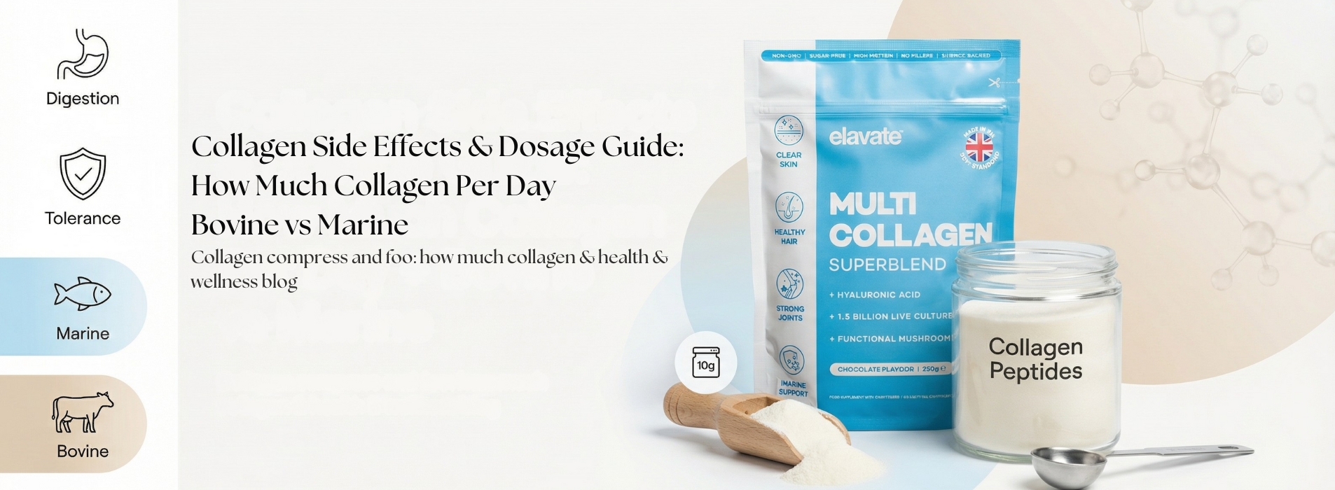 Collagen Side Effects & Dosage Guide