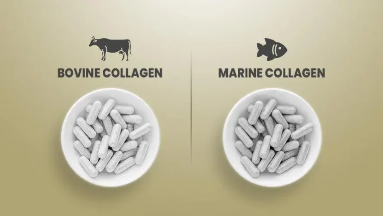 collagen