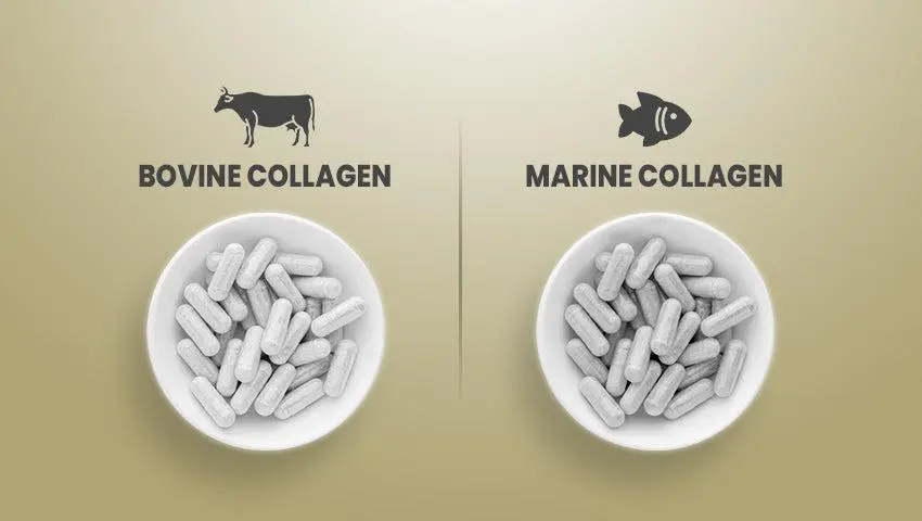 collagen