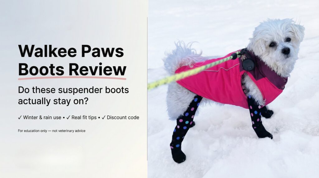 Walkee Paws Boots Review (2026): The “Stay-On” Suspender Design Tested for Rain, Snow + Fit Tips