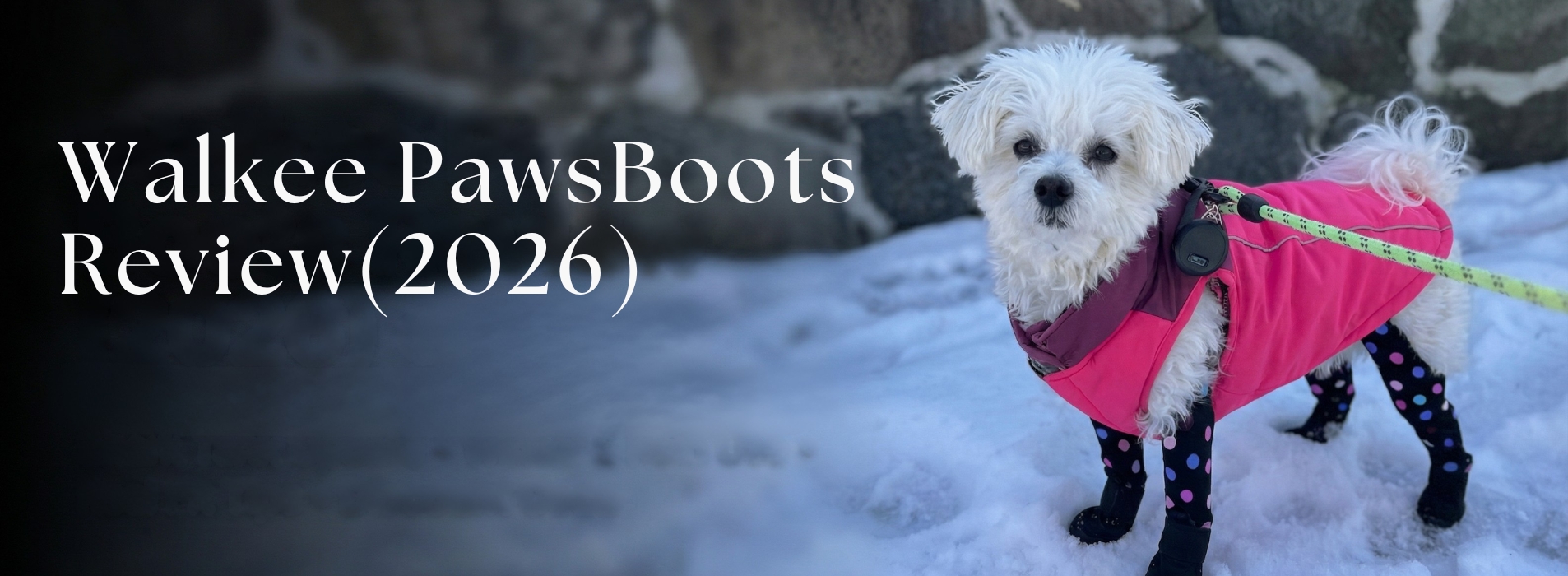Walkee Paws Boots Review (2026)