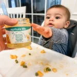 Nurture Life Review: Is It Worth the Price and Do Kids Actually Eat It?